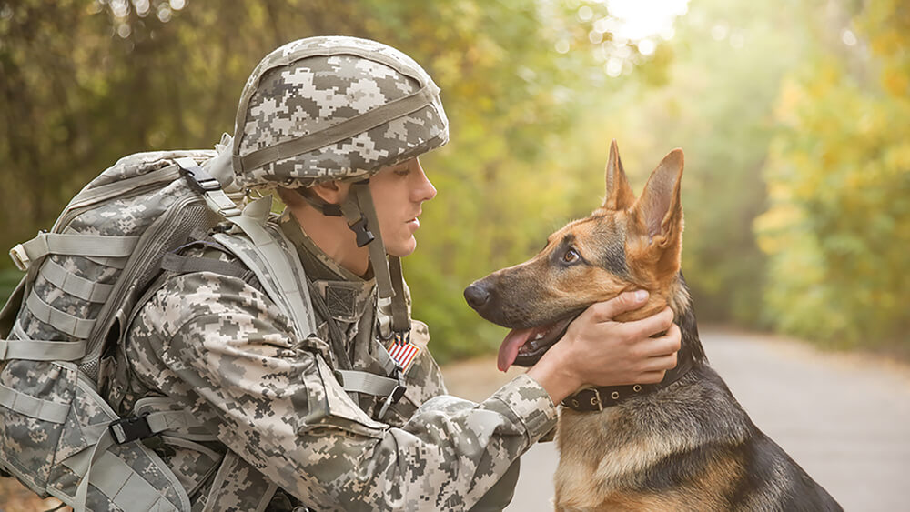 An army officer with his dog