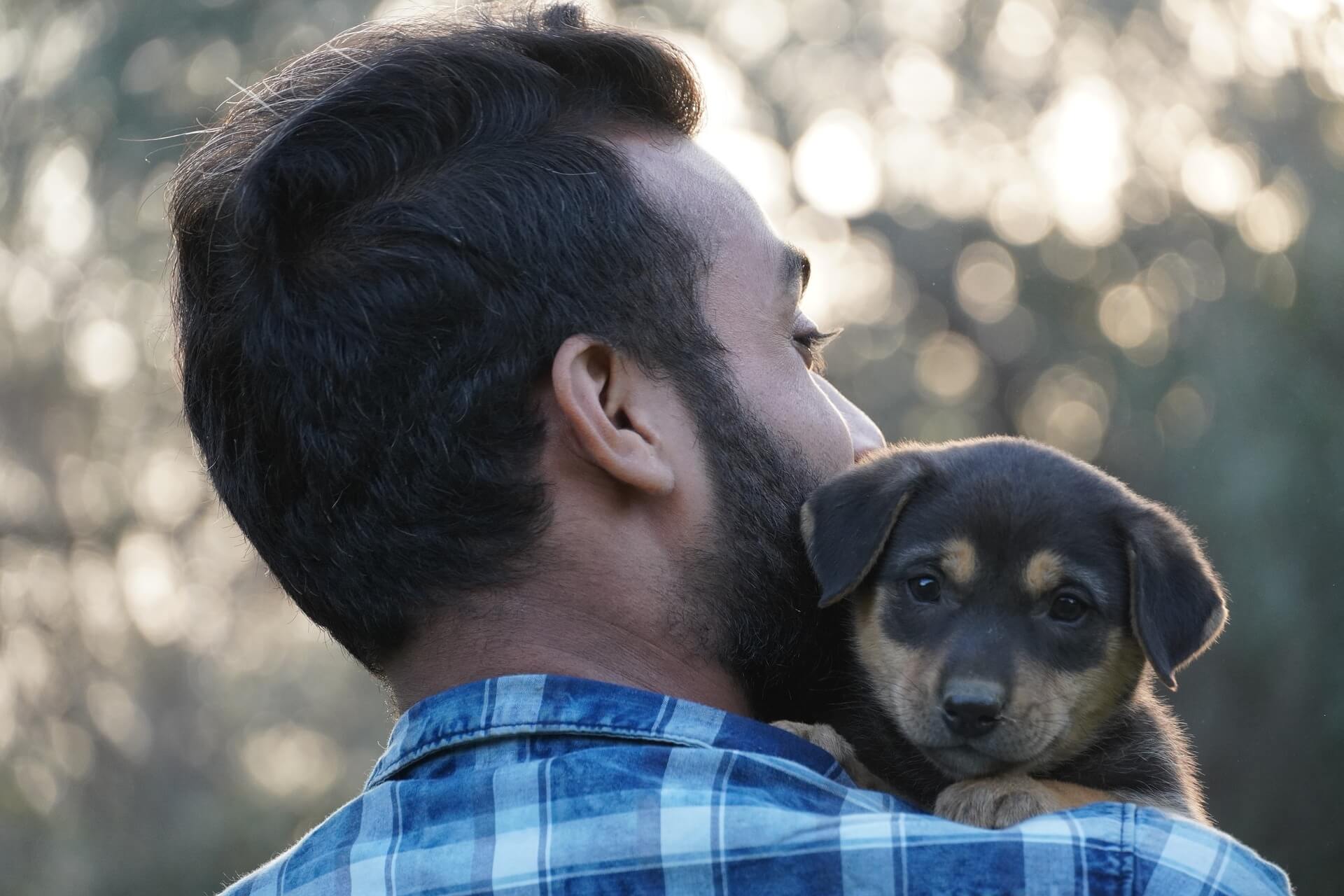 Puppy looking over a man's shoulder