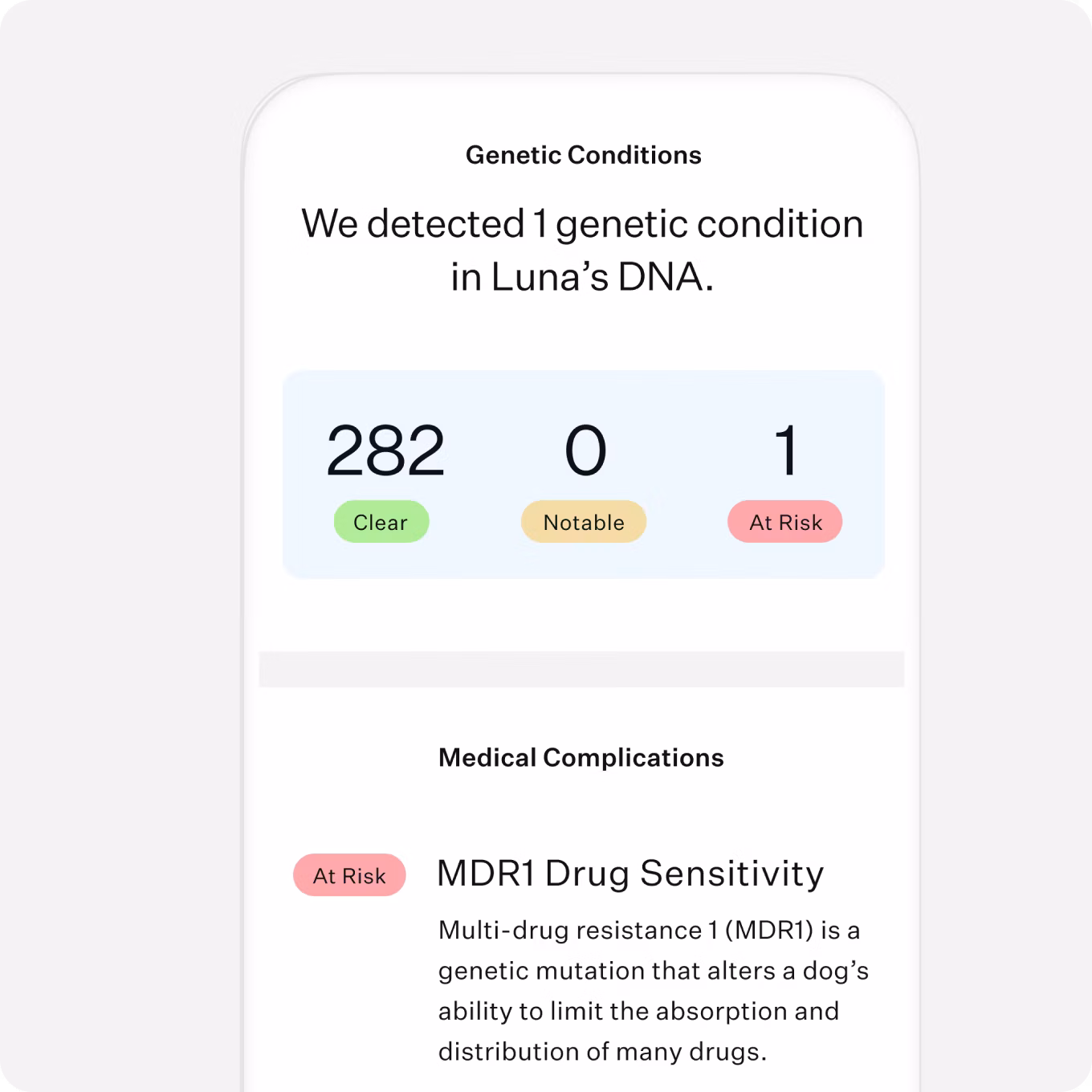 Dog DNA Genetic Conditions test results