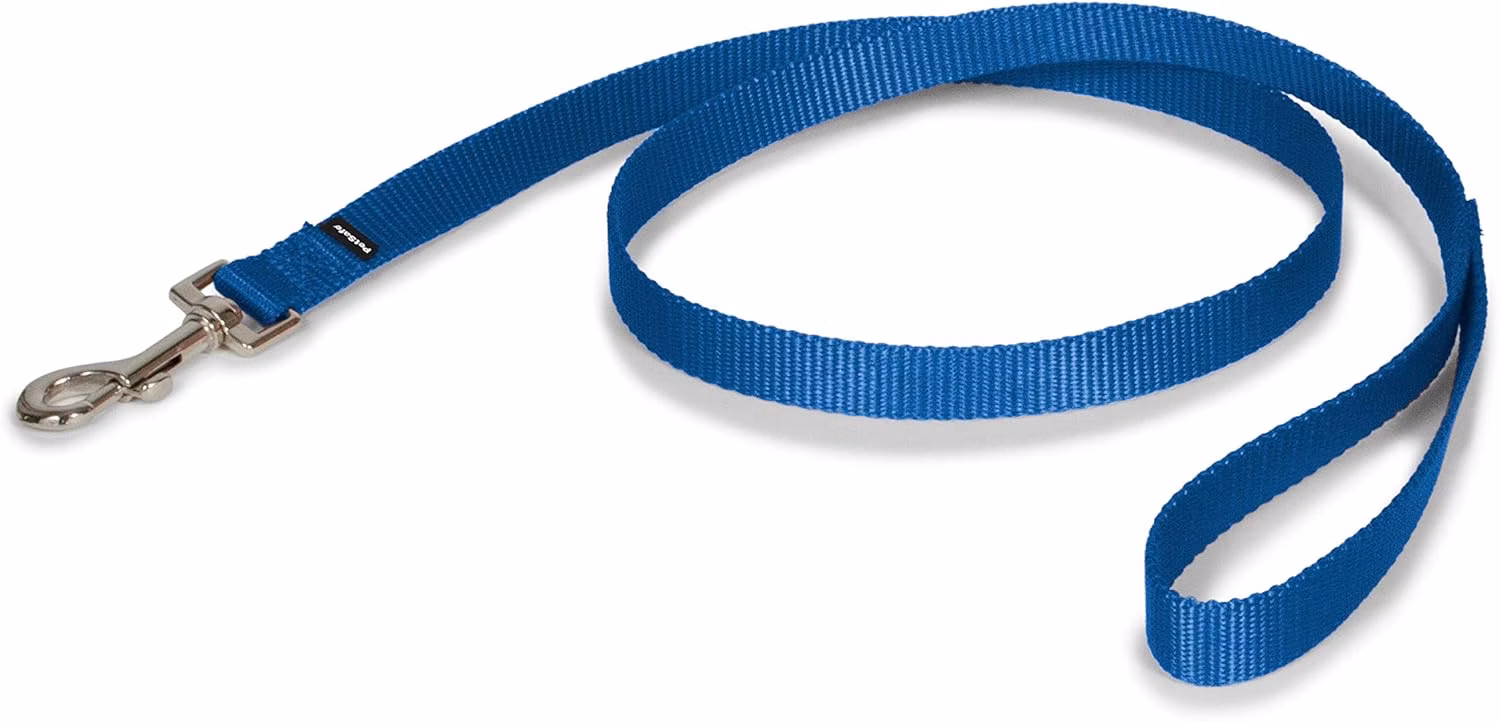 Blue nylon dog leash