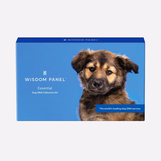 Essential product box