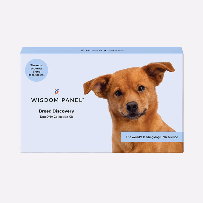 Breed Discovery product box