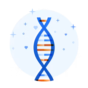 A DNA helix