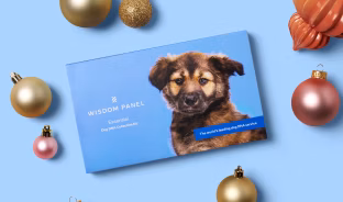 Wisdom Panel Essential dog DNA test collection kit