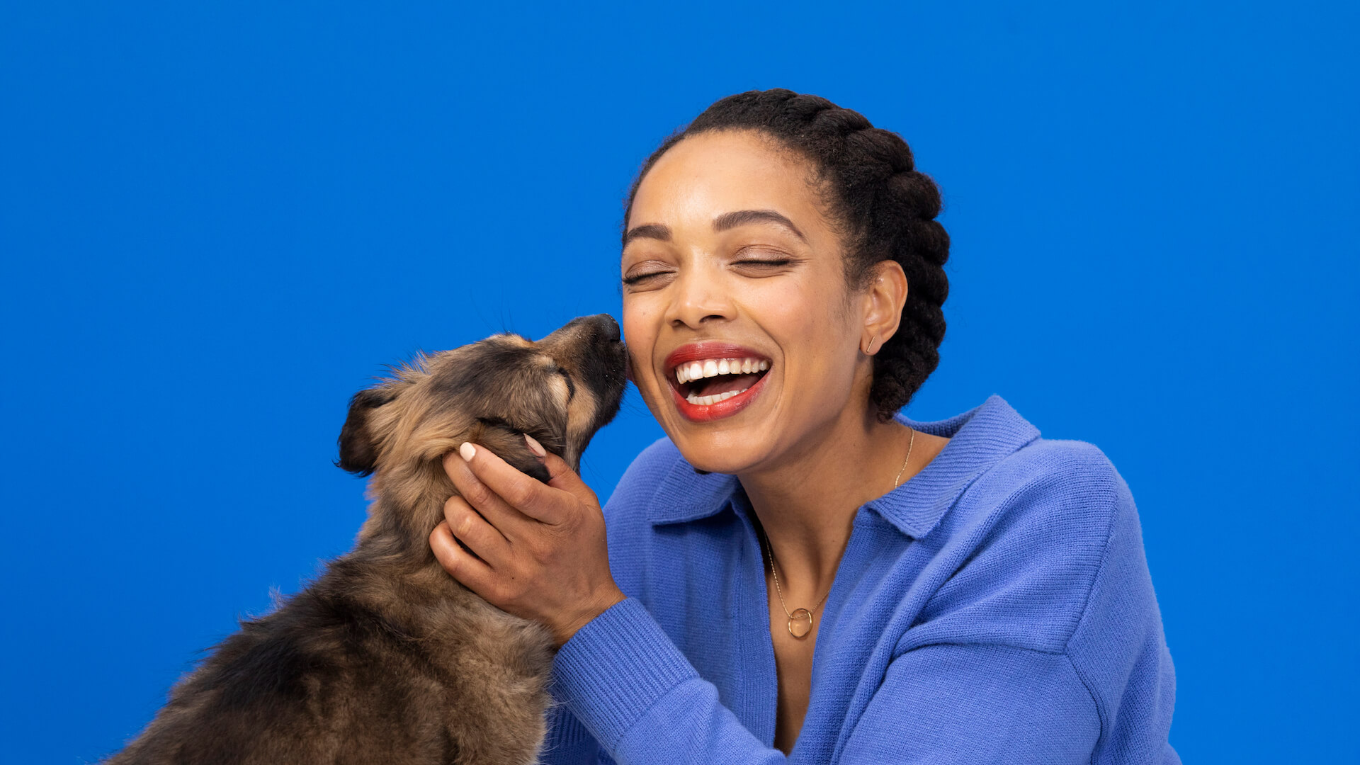 Puppy licking woman's face