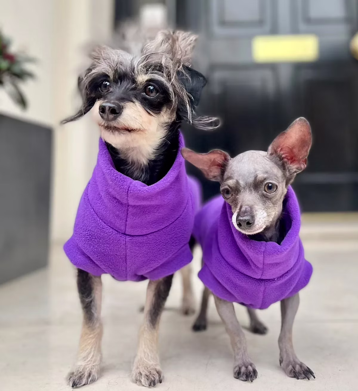 Betty and Bean